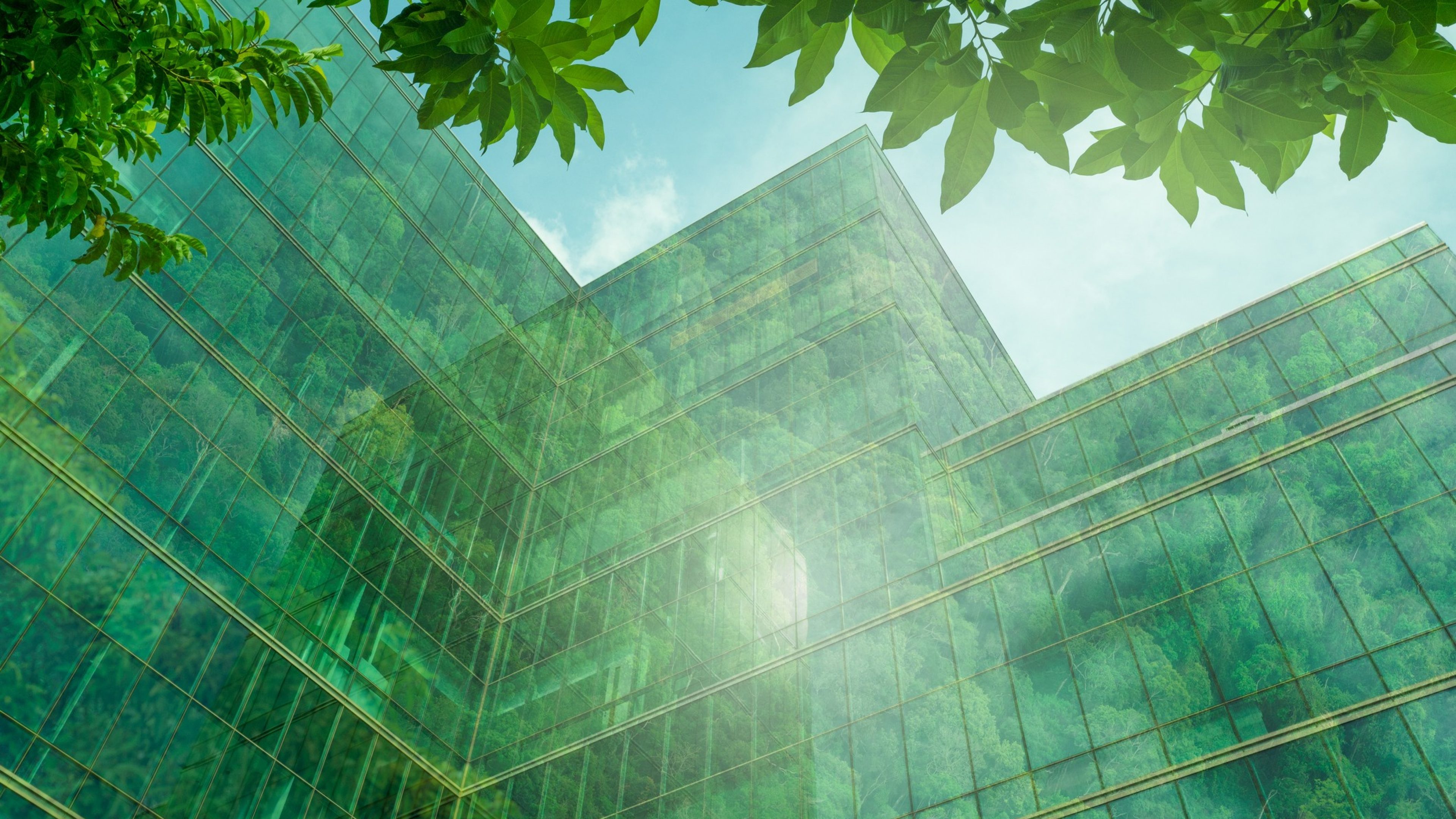 Eco-friendly building in the modern city. Sustainable glass office building with tree for reducing heat and carbon dioxide. Office building with green environment. Corporate building reduce CO2.