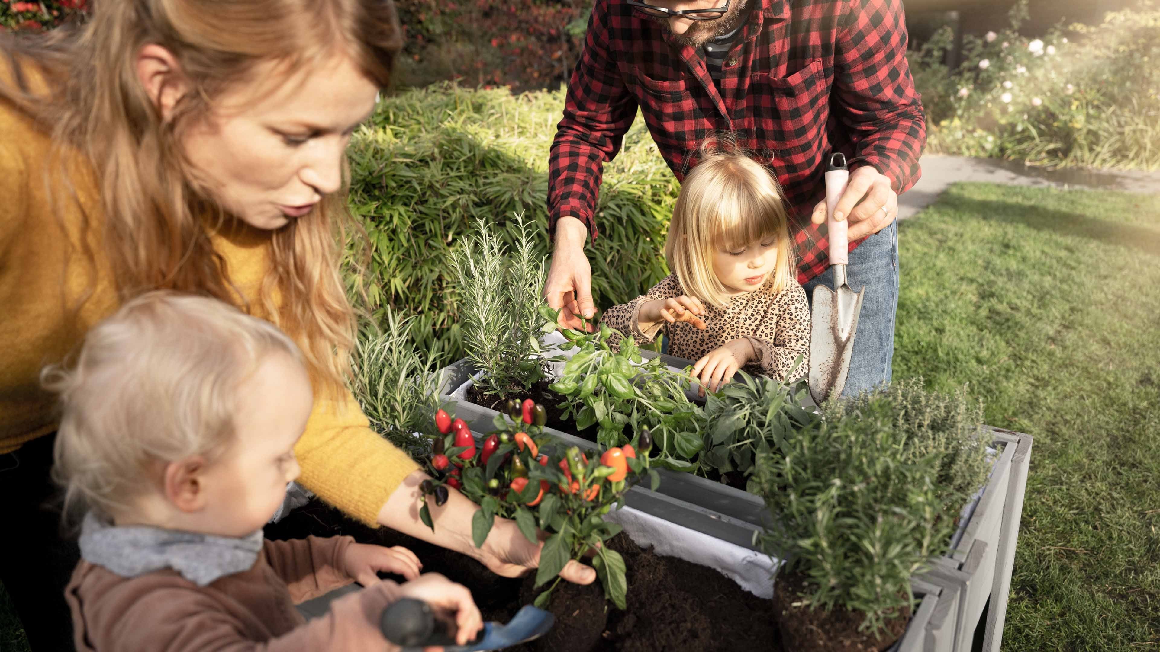 SL_Garden_Family_DSC7637_v03